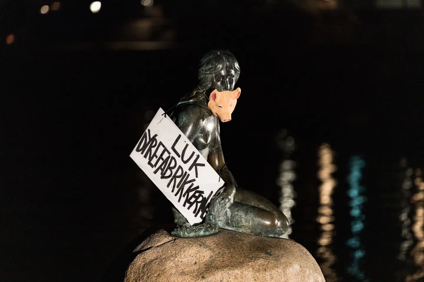 Den Lille Havfrue er blevet iført en grisemaske.