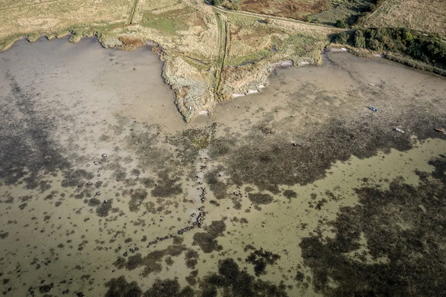 Klima og miljø er vælgernes toppriortiet frem mod valget den 24. marts. Under valgkampen har blandt andet forureningen af grundvandet været op til debat. På billedet ses et vandløb i Korsør, hvor der i 2021 blev konstateret forurening med giftstoffet PFOS. (Arkivfoto).