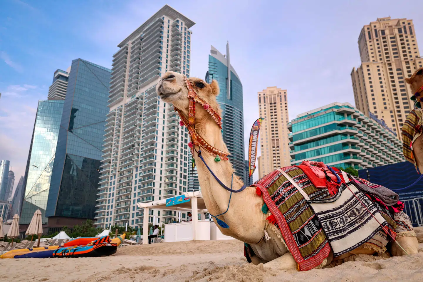 Parasollerne er slået ned, strandstolene står tomme, og kamelerne pukler ikke for turisterne, for krigen har ramt Mellemøsten hårdt på en af de store indtægtskilder. Her er det en strand i Dubai.