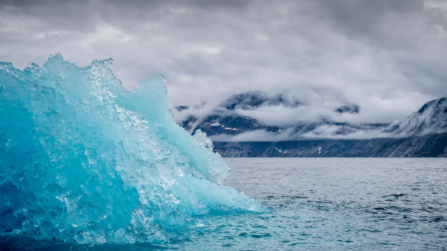 Isbjerge smelter i fjorden nær Nuuk i Grønland.
