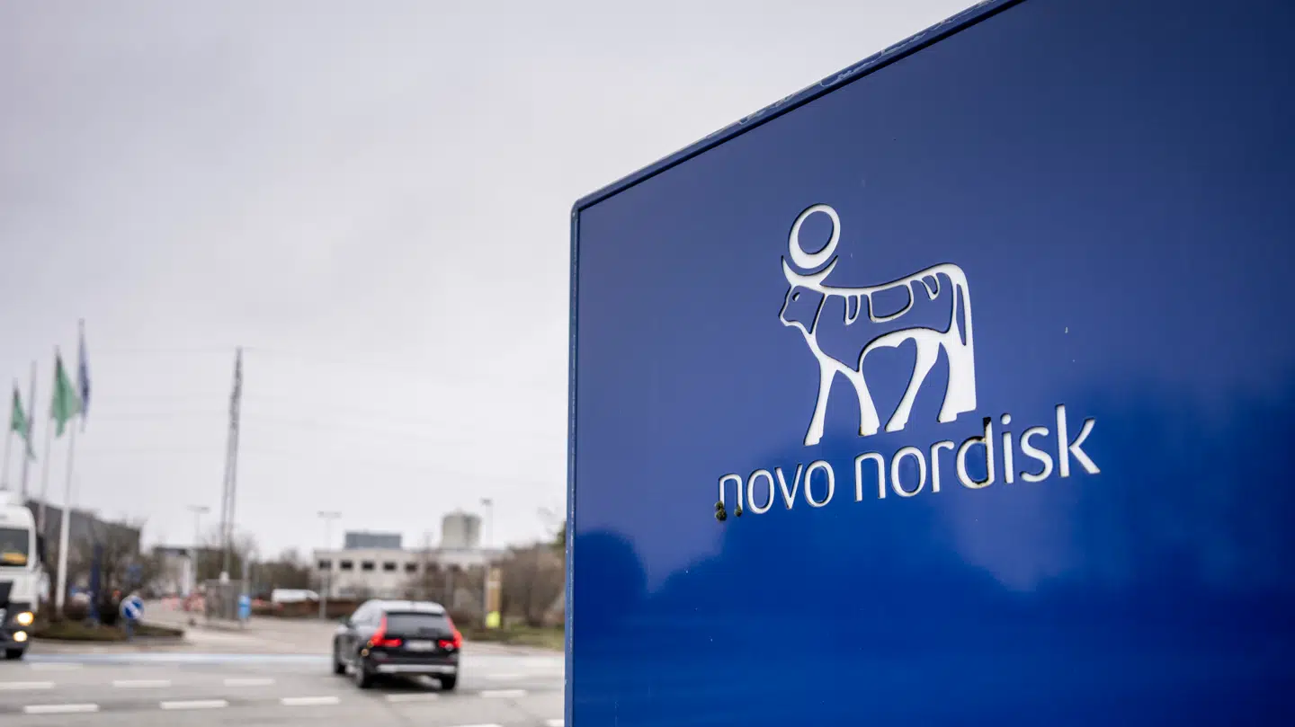 Bygningsarbejderne demonstrerer mod social dumping.