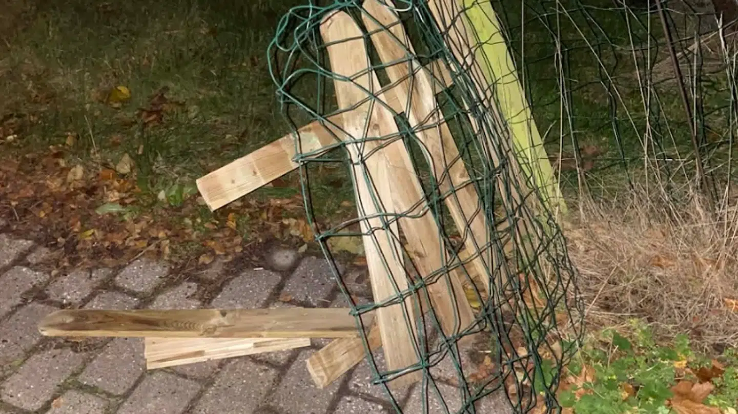 Billedet viser det hegn, som manden brød igennem ind til hendes have.