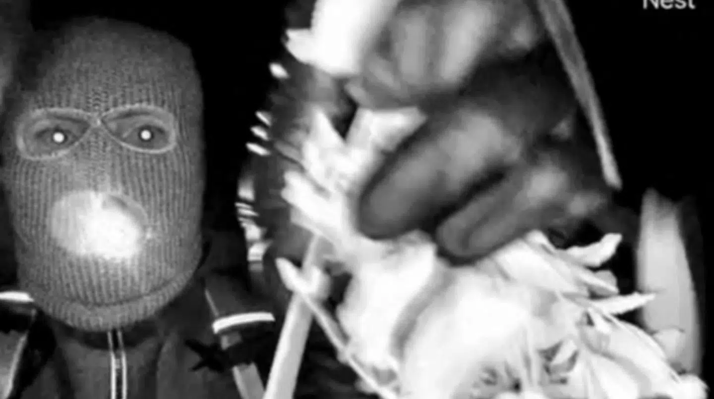 Her ses personen, som er blevet fanget på dørklokkekameraer foran Nancy Guthries hus.