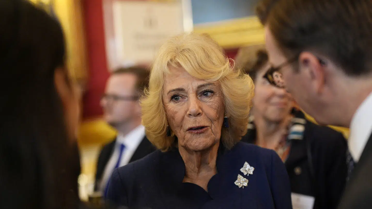 Dronning Camilla er angiveligt ikke glad for, at Harry og Meghan danner par.