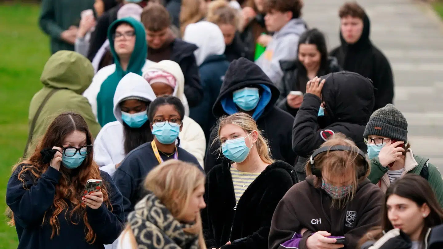 Køerne minder umiskendeligt om velkendte scener fra årerne efter 2019 - måske med undtagelse af mindre afstand mellem de ventende.