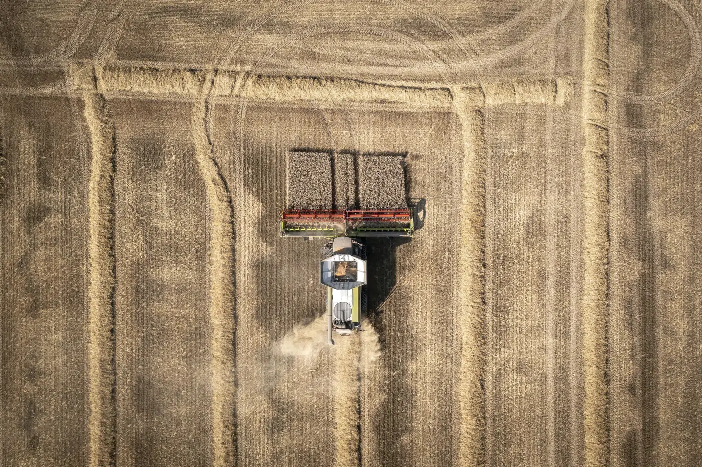 De indscannede vejrdata kan ifølge DMI blandt andet bruges af landbruget i forbindelse med valg af afgrøder og såtidspunkter. (Arkivfoto).
