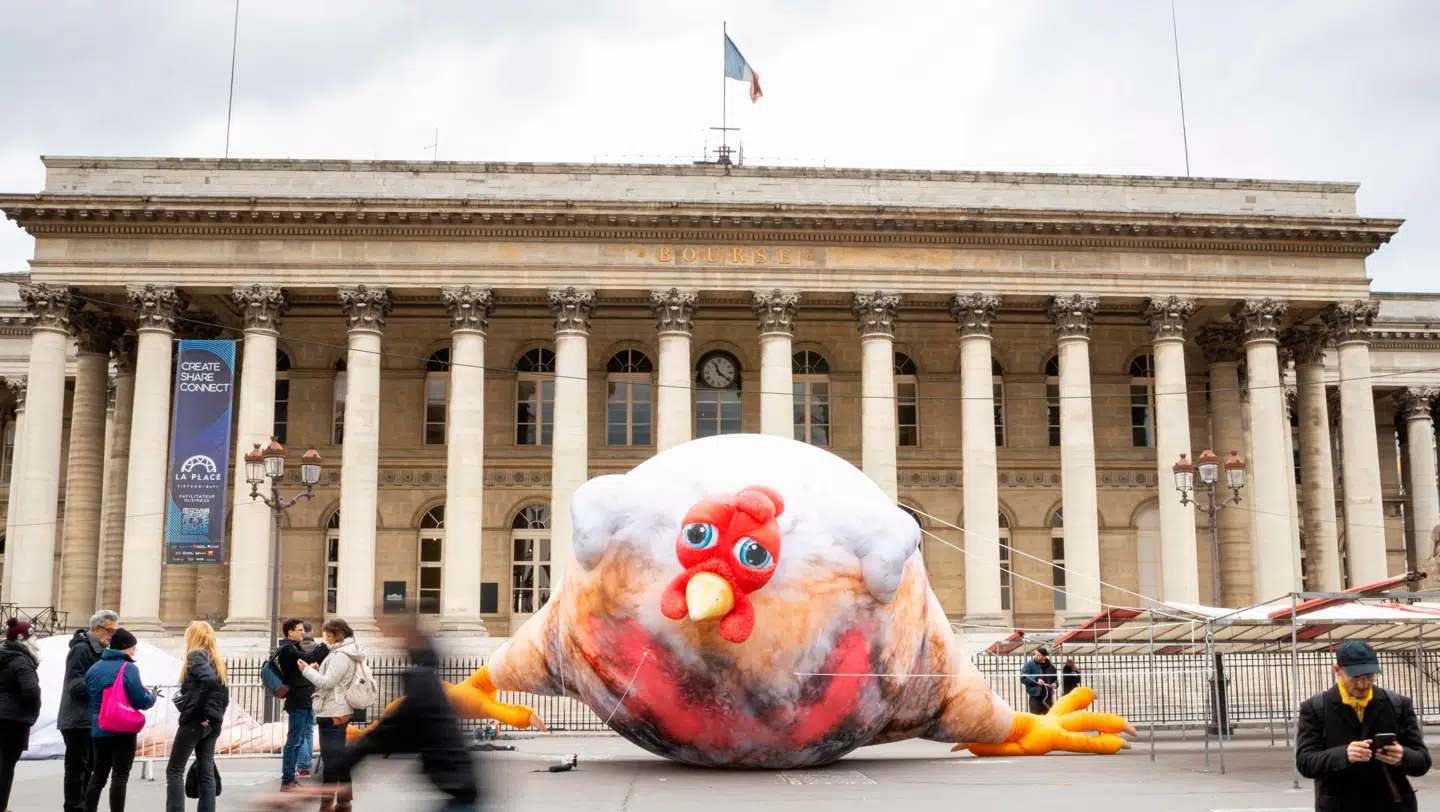 Ross 308-racen har større problemer med velfærden end sammenlignet med langsommerevoksende racer. Blandt andet med deres gang, hvilket øger risikoen for problemer med hud og adgang til føde. Her demonstrerer man i mod racen i Frankrig i 2024.