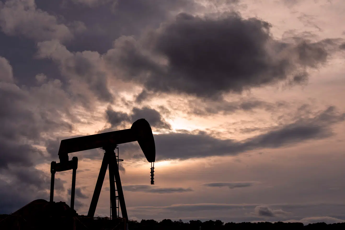 Det er en misforståelse, at det er politikernes opgave at styre priserne, lyder det fra Line Andersen Wendland, der er økonom i CEPOS.