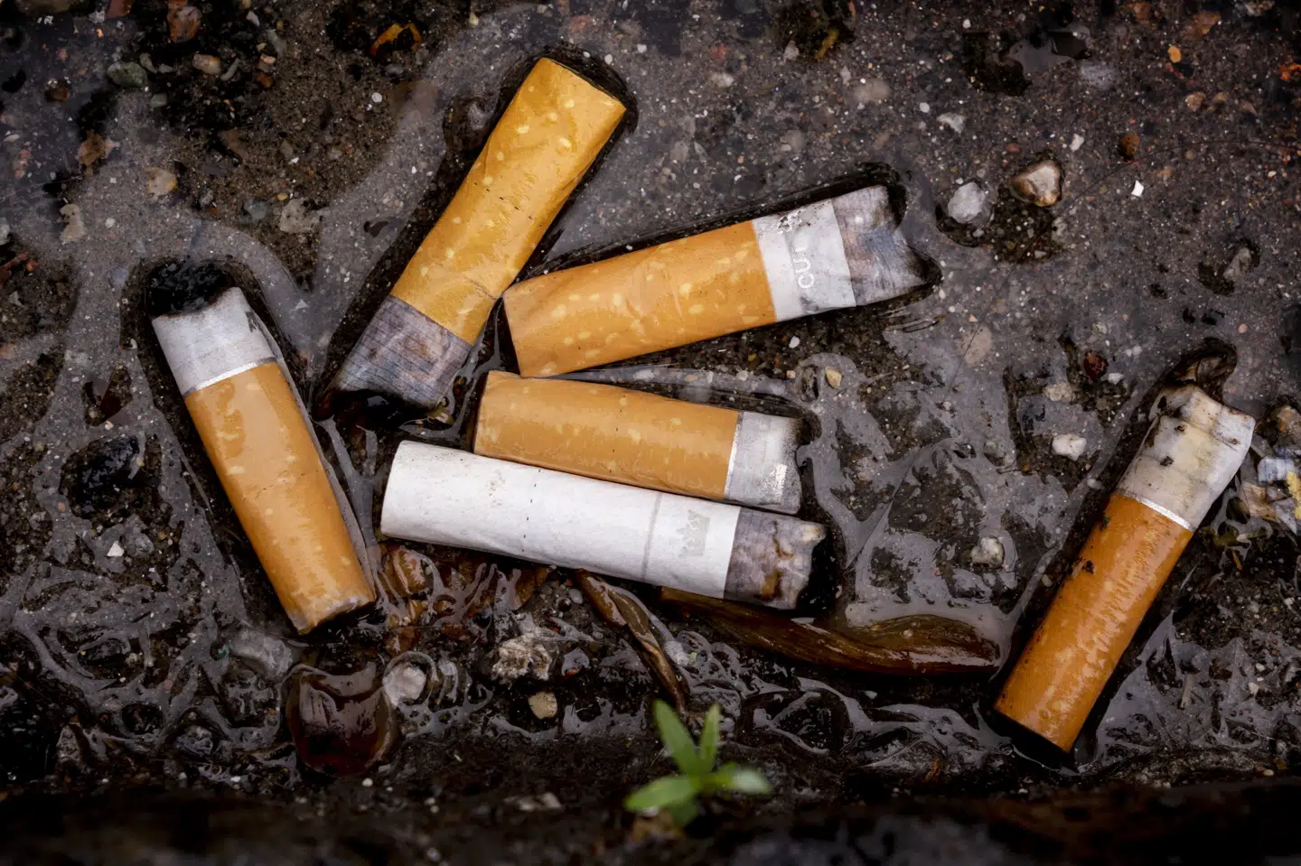 Kopicigaretter er kendetegnet ved at efterligne forskellige cigaretproducenters originale produkter. (Arkivfoto).