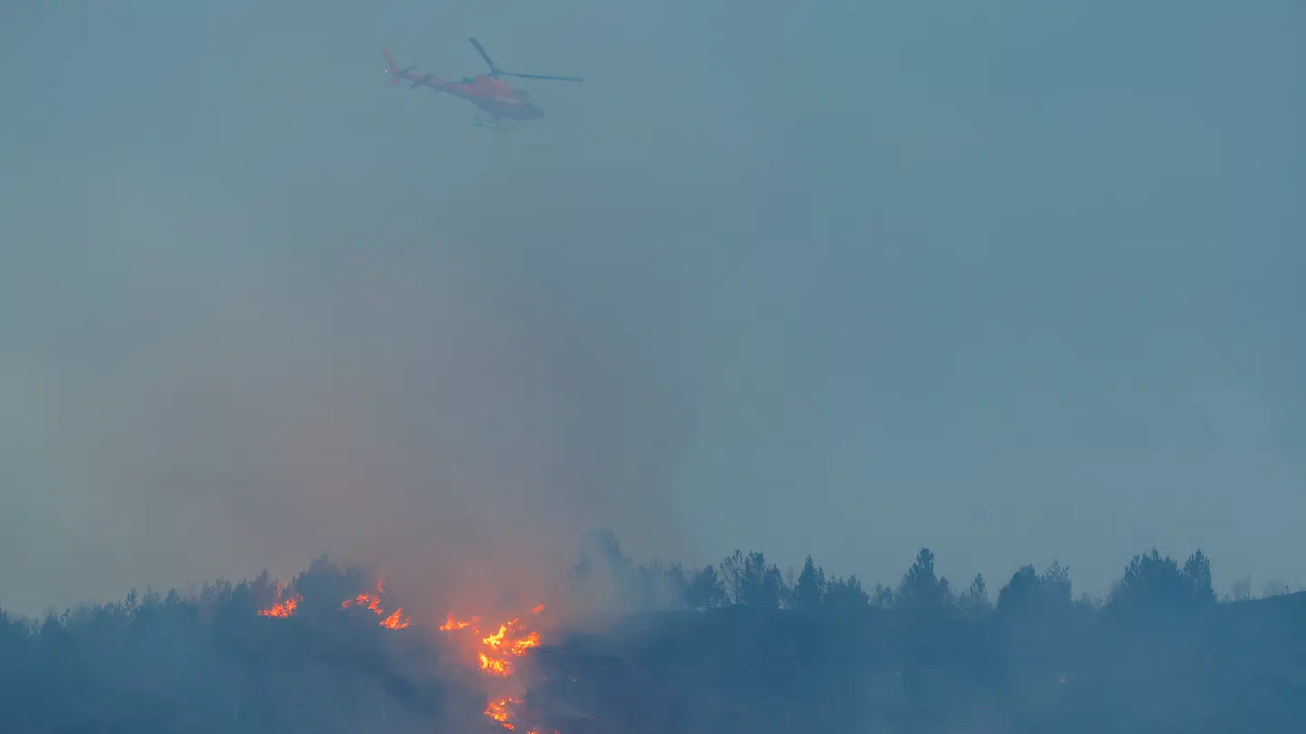 Branden er formentlig startet ved Tueneset nær Atlanterhavsparken-akvariet.