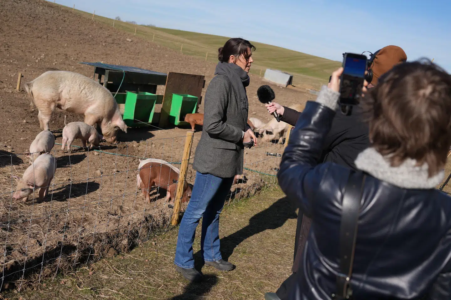- Danskerne er aldrig blevet spurgt, om de vil have 40 millioner grise i deres land, siger partileder Franciska Rosenkilde.