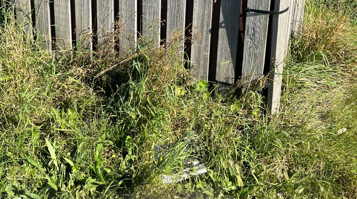 Her ses Henriks post, der er smidt i græsset ude foran grunden.