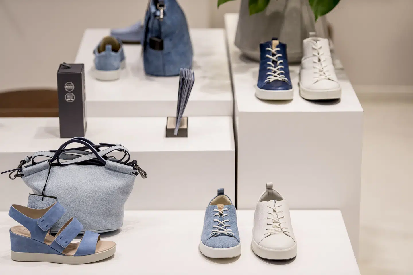 Ifølge Økonomisk Ugebrevs liste fra november 2025 over landets ti rigeste familier, indtager Eccos bestyrelsesformand, Hanni Toosbuy Kasprzak, tiendepladsen med en anslået formuestørrelse på 15,8 milliarder kroner.