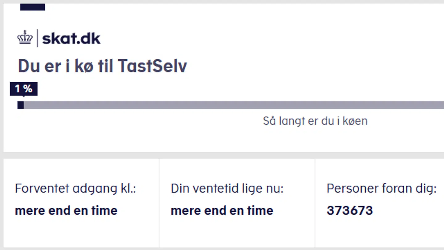 Køen er enorm til årsopgørelsen.