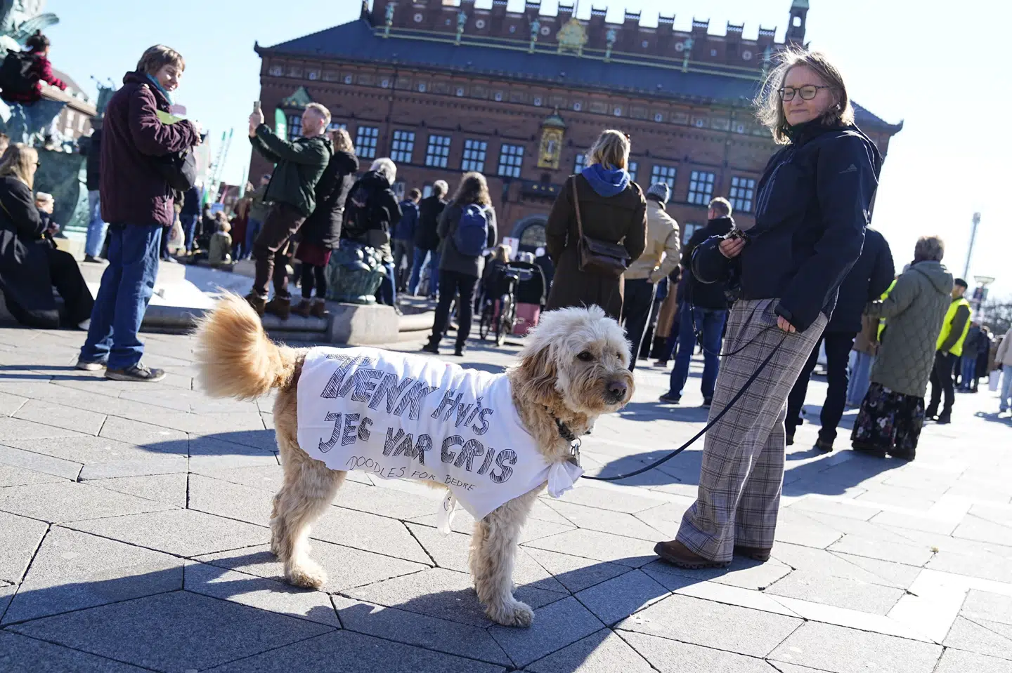 En række natur- og dyrevelfærdsorganisationer indkaldte søndag til en demonstration under parolen "Dette valg er et svinevalg".