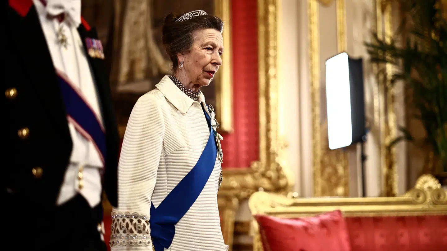 Den britiske prinsesse Anne vakte opsigt, da hun for nyligt hoppede i sin teenagekjole til statsbanket på Windsor Slot i anledningen af den nigerianske præsidents statsbesøg i Storbritannien.