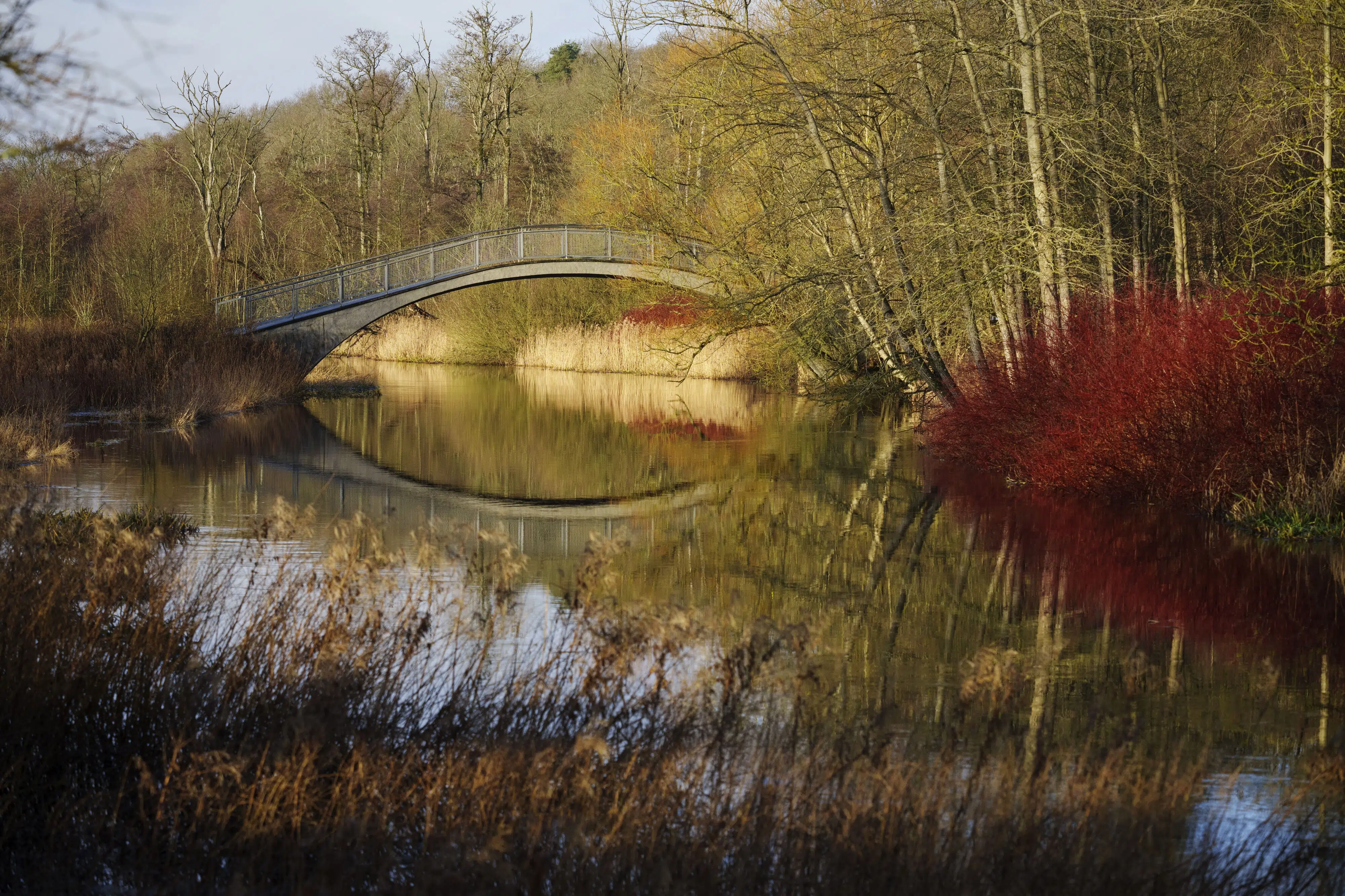 175 kilometer lang vandresti indvies ved Danmarks længste å