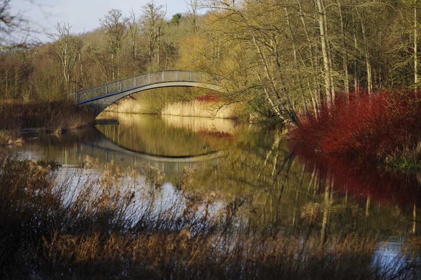 Gudenåen udspringer ved Tinnet Krat nær Tørring og munder ud i Randers Fjord. Nu kan åen, der er Danmarks længste, opleves fra et sammenhængende stisystem. (Arkivfoto).