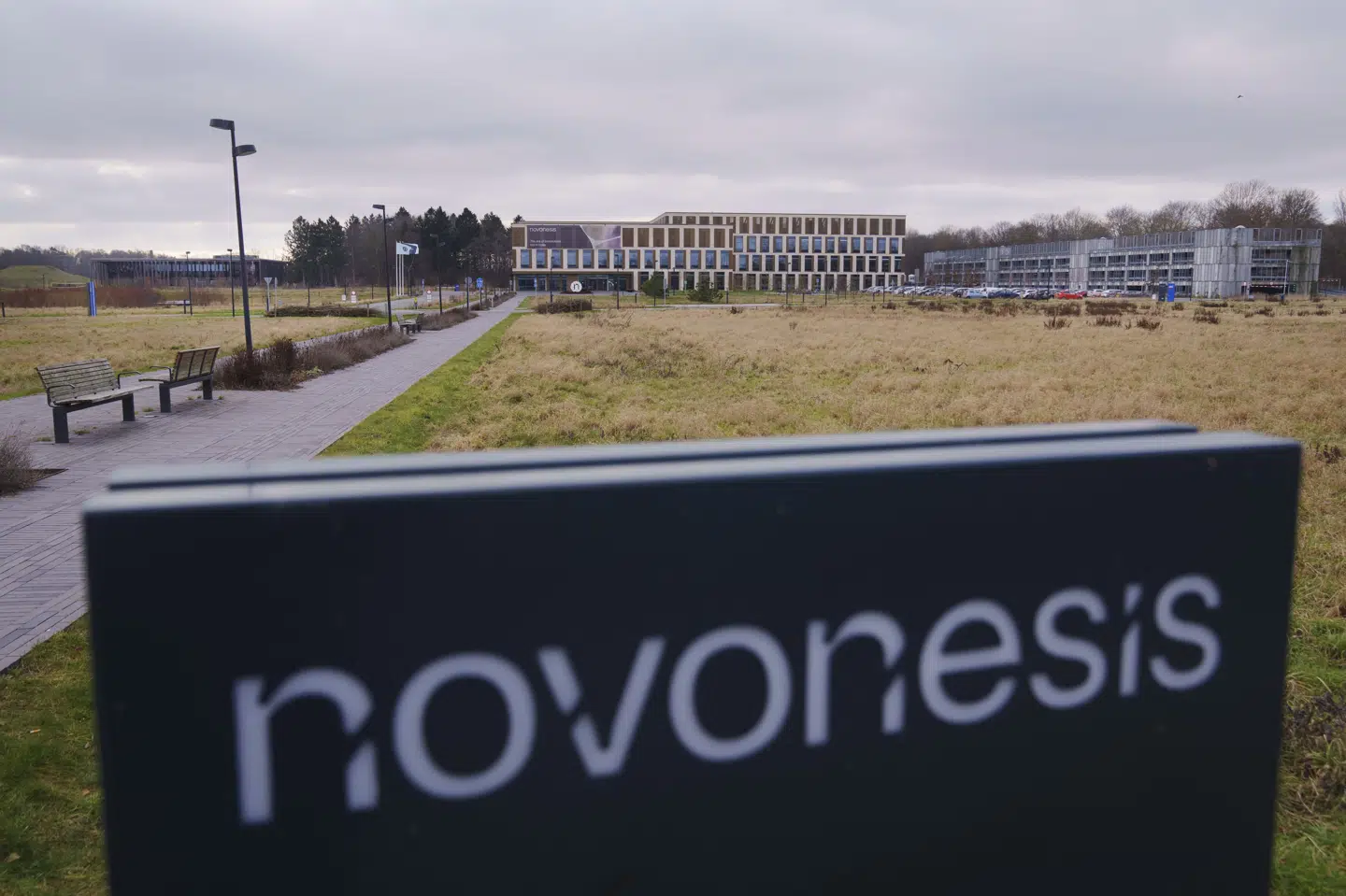 Biotekselskabet Novonesis med hovedsæde i Lyngby udvikler og fremstiller blandt andet enzymer og mikroorganismer til industrier verden over. (Arkivfoto).