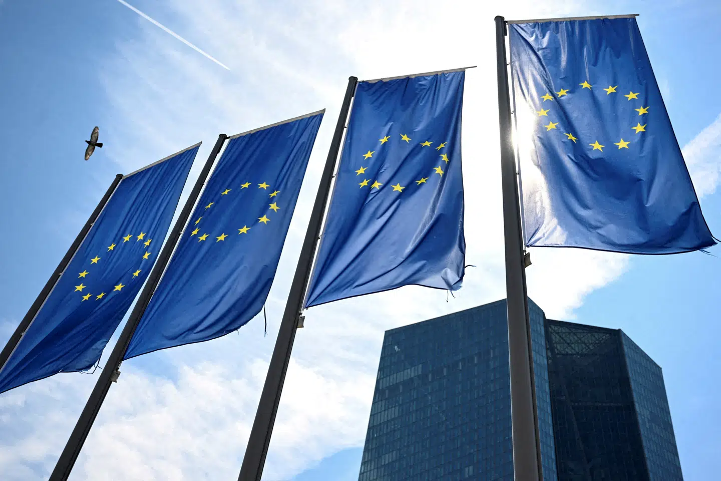 FILE PHOTO: FILE PHOTO: EU flags flutter in front of European Central Bank (ECB) headquarters in Frankfurt, Germany July 18, 2024. REUTERS/Jana Rodenbusch/File Photo/File Photo
