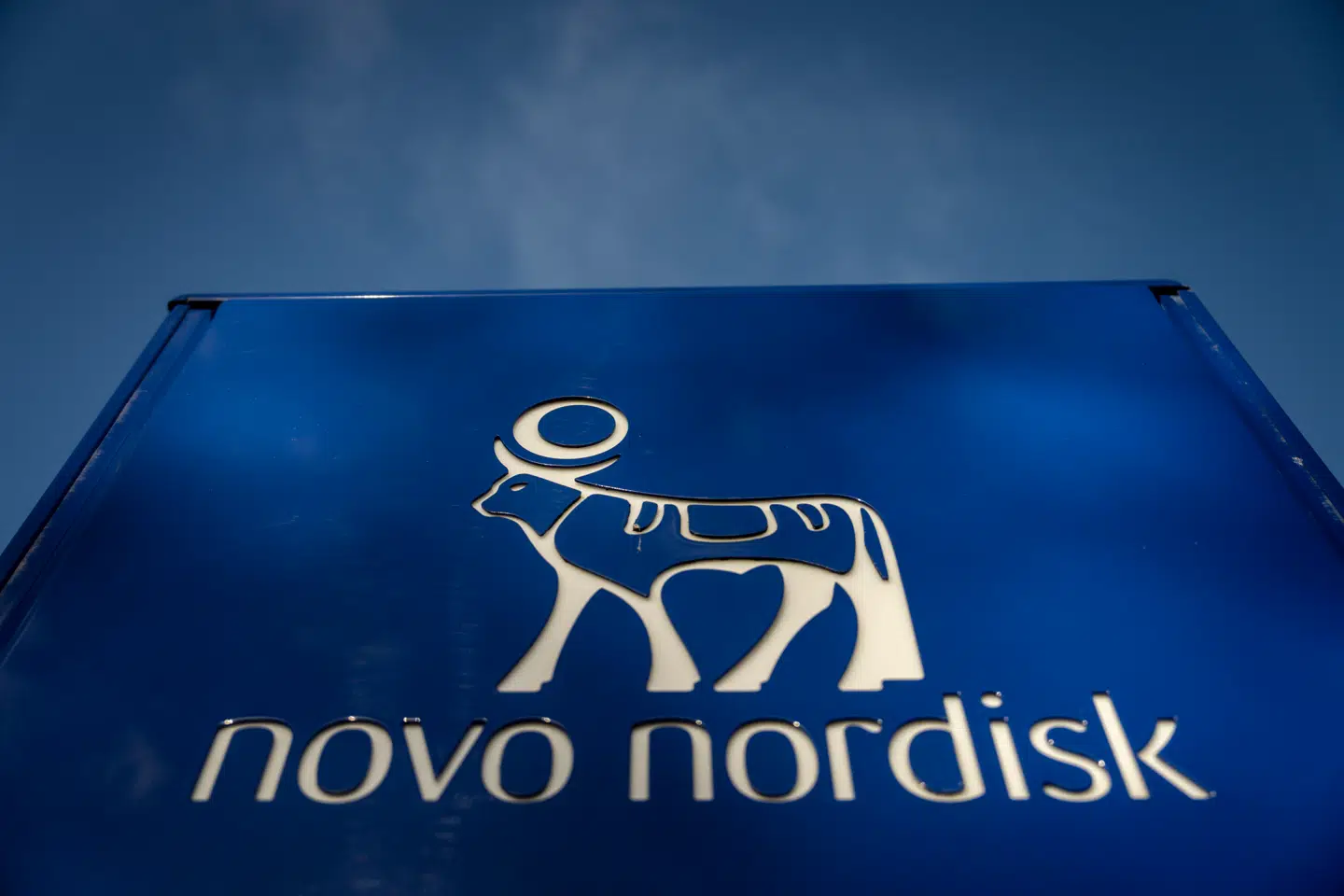 Novo Nordisk i Bagsværd, onsdag den 5. februar 2025.. (Foto: Mads Claus Rasmussen/Ritzau Scanpix)
