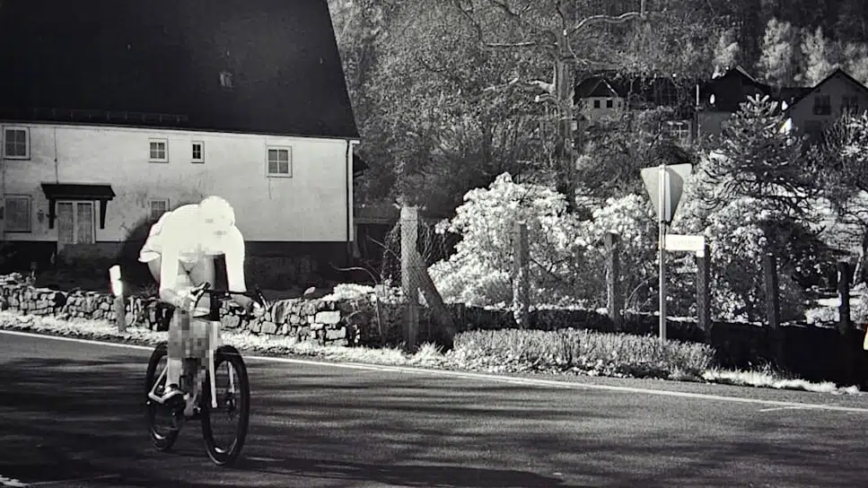 Blitzet af politiet: Kører direkte i fælden