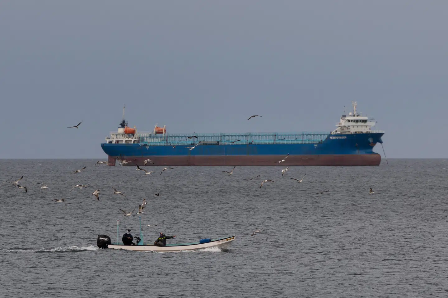 En lille fiskebåd sejler ud for Omans kyst, forbi et af de mange skibe, der venter på at komme gennem Hormuzstrædet.