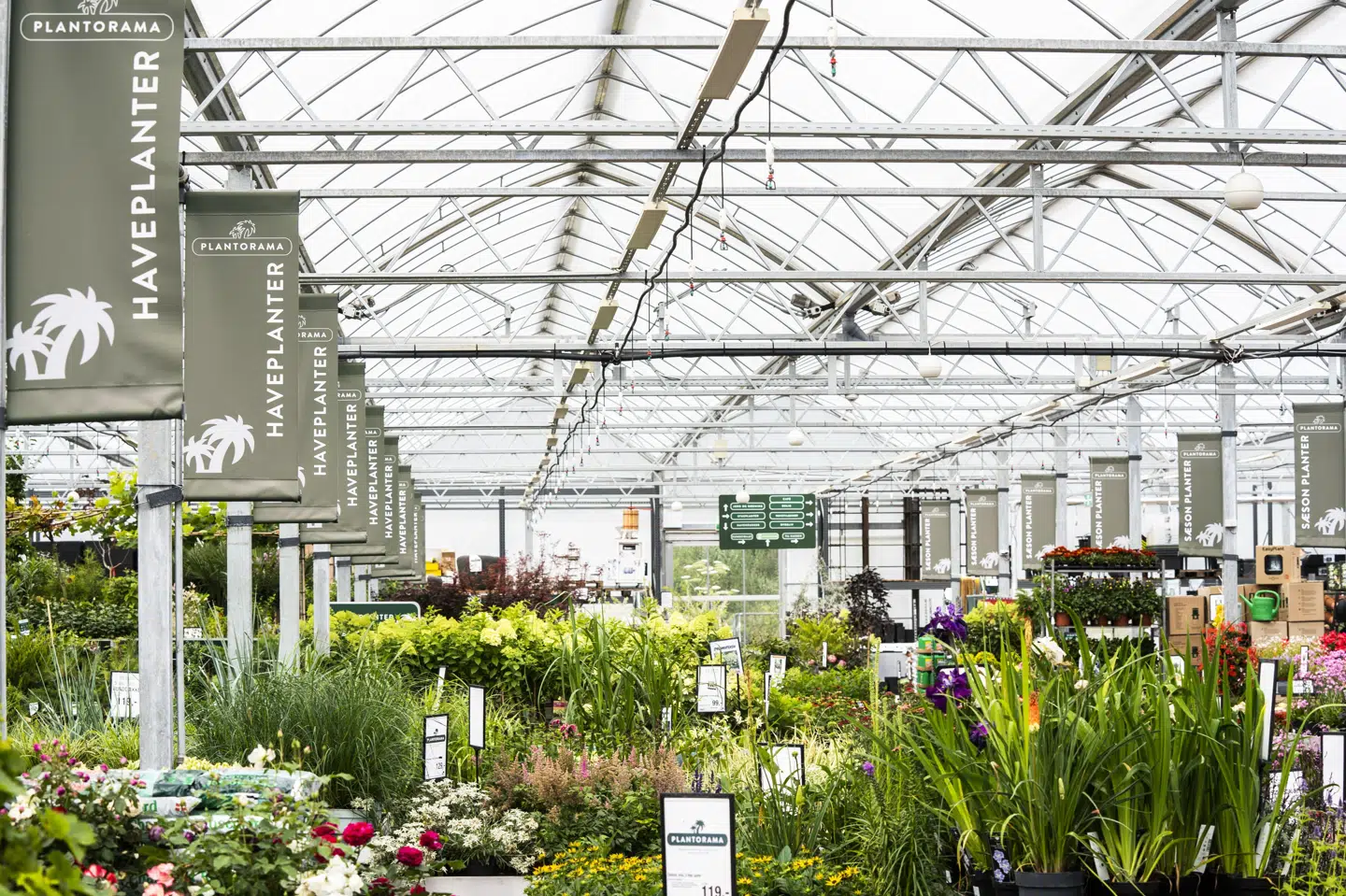Plantorama har 16 centre fordelt over Danmark, heriblandt i Vallensbæk. For første gang i flere år opnår kæden overskud på bundlinjen. (Arkivfoto).