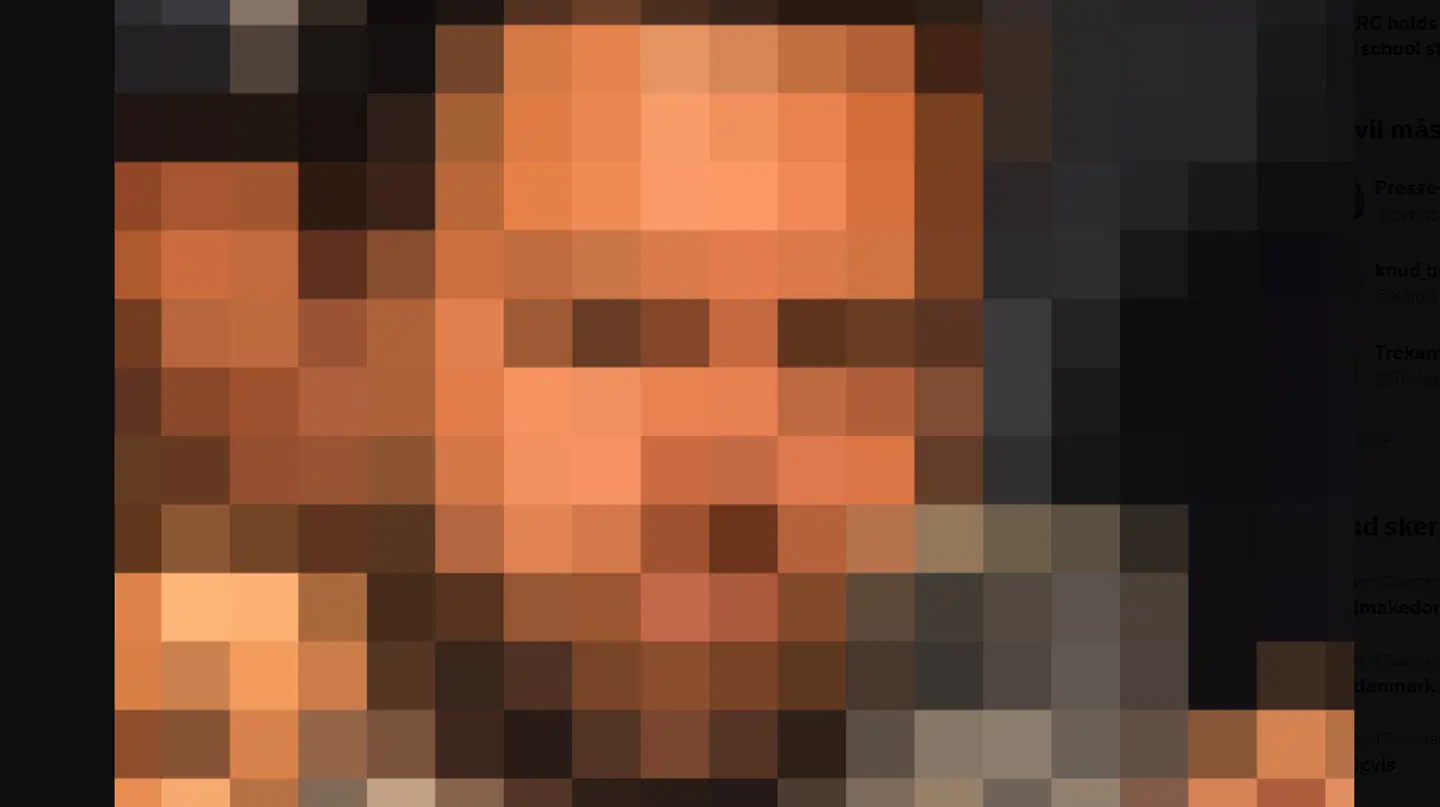 Her ses et udsnit af et af de pixelerede billeder, Det Hvide Hus har delt på sin profil på X.