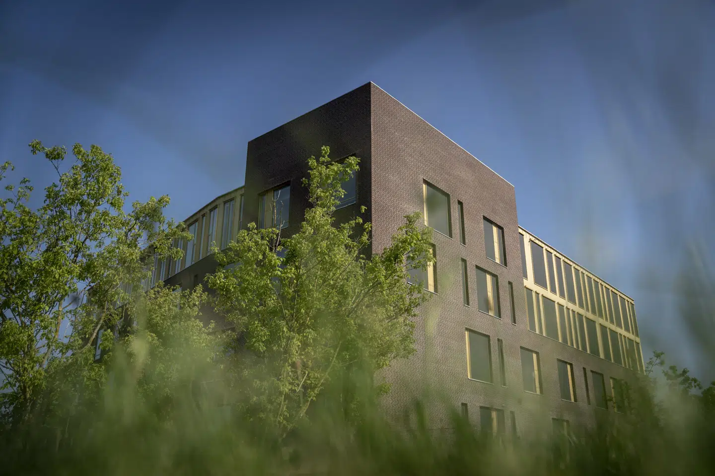 Retten i Roskilde gjorde undtagelsesvist dommen betinget, da en far torsdag blev dømt for vold mod søns skolekammerat. (Arkivfoto).