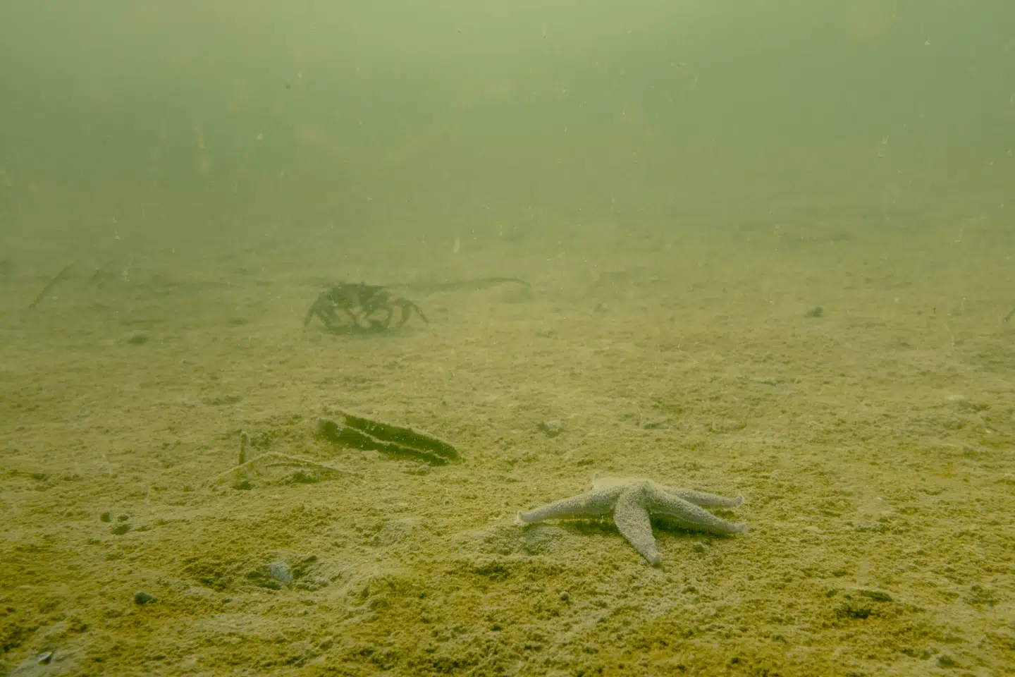 Det er på tide, at borgerligheden stopper med at se klimadagsordenen som noget man skal »vinde tilbage« fra venstrefløjen, lyder det i denne kommentar.