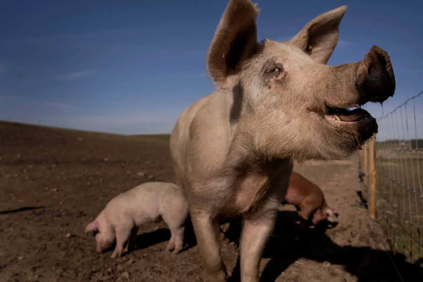 Når du deltager i dagens quiz, er du samtidig med i lodtrækningen om en præmie.