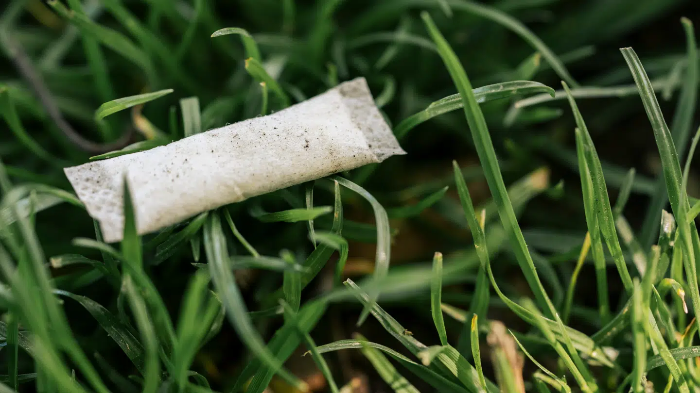 Nikotinposer er ifølge miljøstyrelsen til stor skade for miljøet.