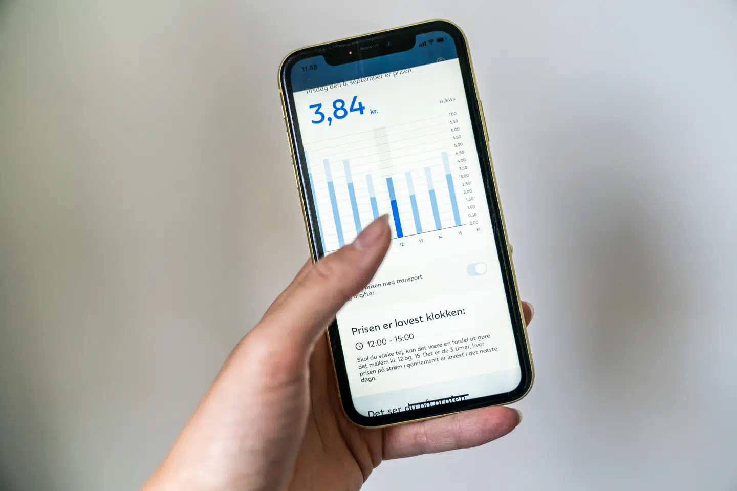 Elkunder kan se frem til billigere elregninger i sommerhalvåret. Det skyldes, at elselskaberne overgår fra vinter- til sommertariffer. (Arkivfoto)
