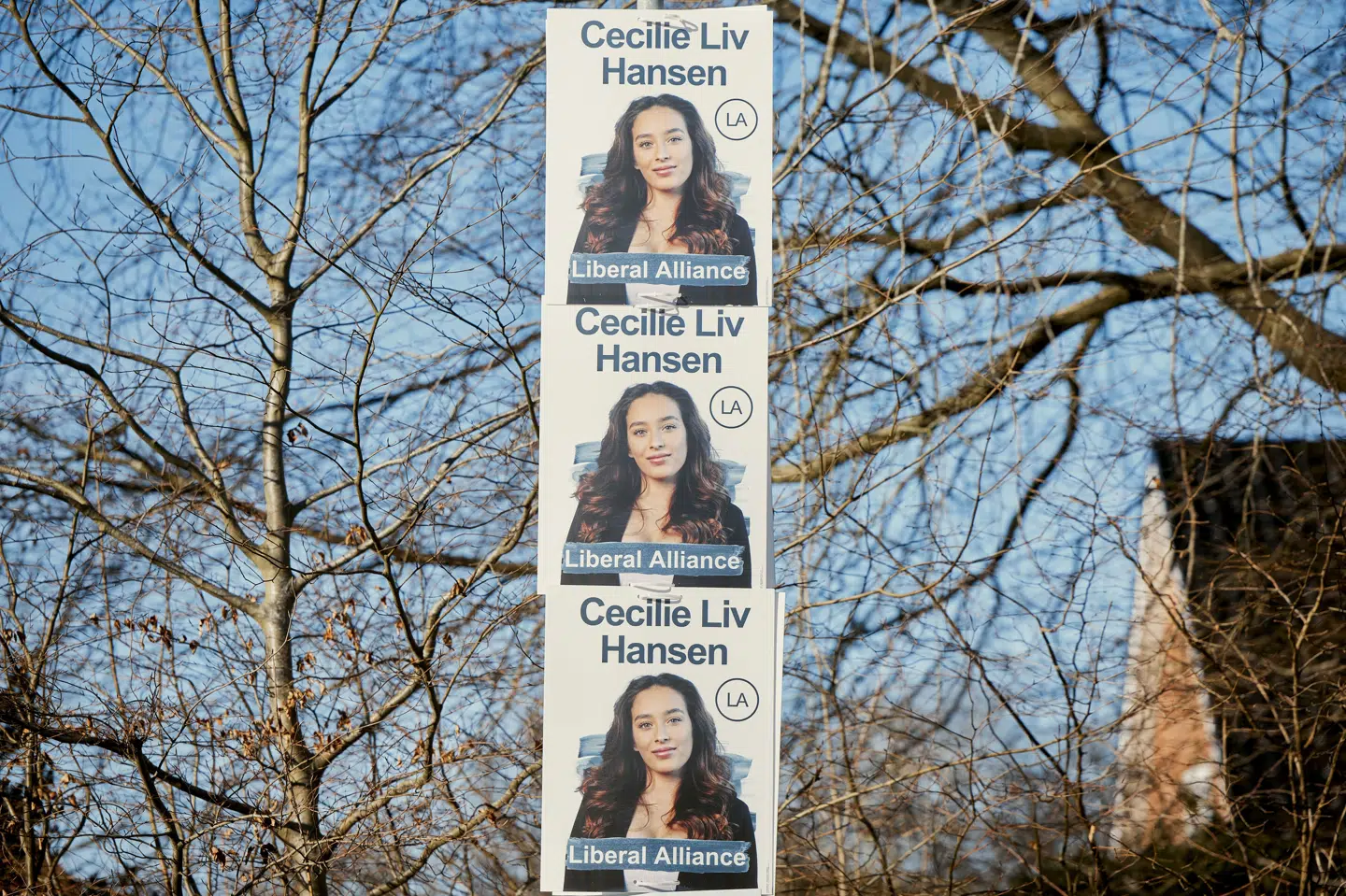 Billeder af det tidligere medlem af Liberal Alliance Cecilie Liv Hansens valgplakater i Vejle. (Arkivfoto).