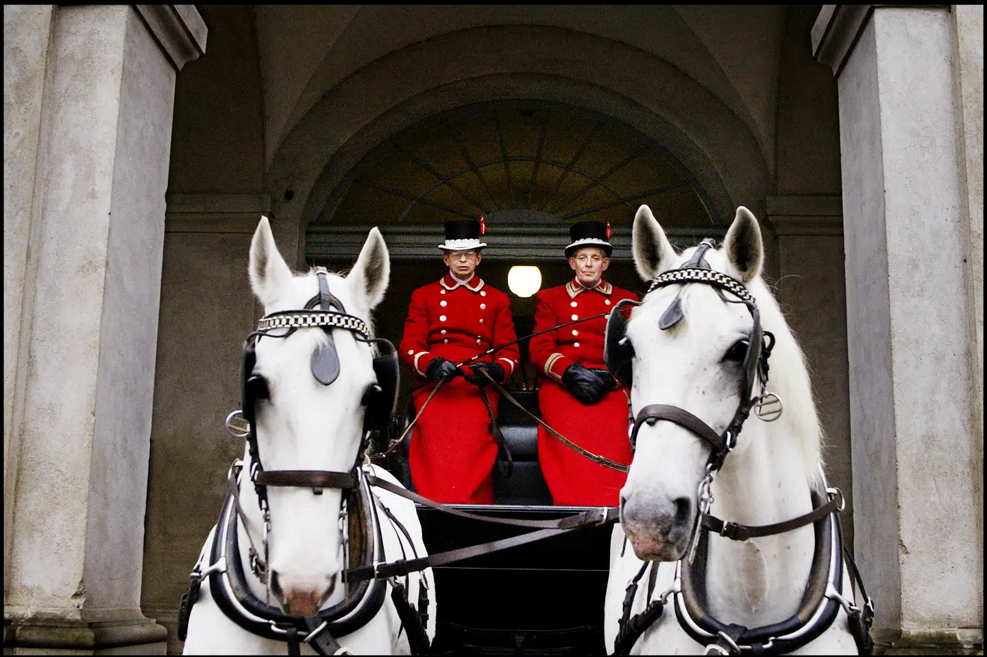 De kongelige stalde ved Christiansborg Ridebane huser primært hvidskimlede kladrubere. Men nu har to mørkebrune oldenborgere sluttet sig til dem. (Arkivfoto).