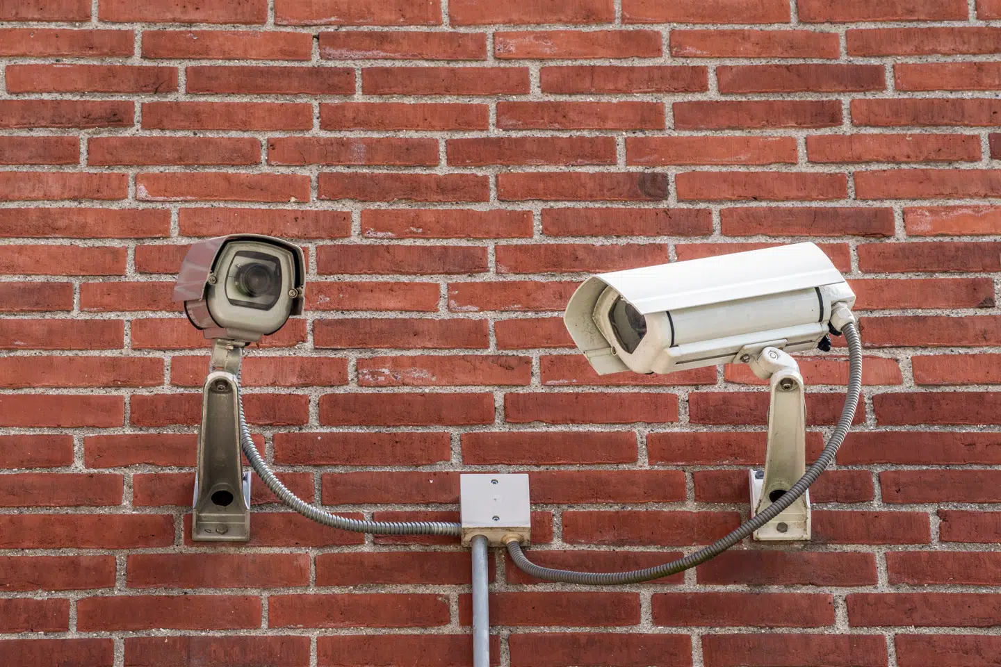 Amerikansk politi brugte ansigtsgenkendelse til at analysere videoovervågning for at finde frem til mistænkt i sag om svindel. Det kostede en tilsyneladende uskyldig kvinde over fem måneders varetægtsfængsling.