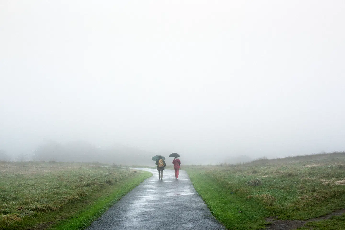 Langsom motion, kosttilskud og små doser medicin kan hjælpe med gradvist at genoprette balancen ved at støtte de to grene af nervesystemet korrekt. Foto: Niels Ahlmann Olesen, Scanpix.