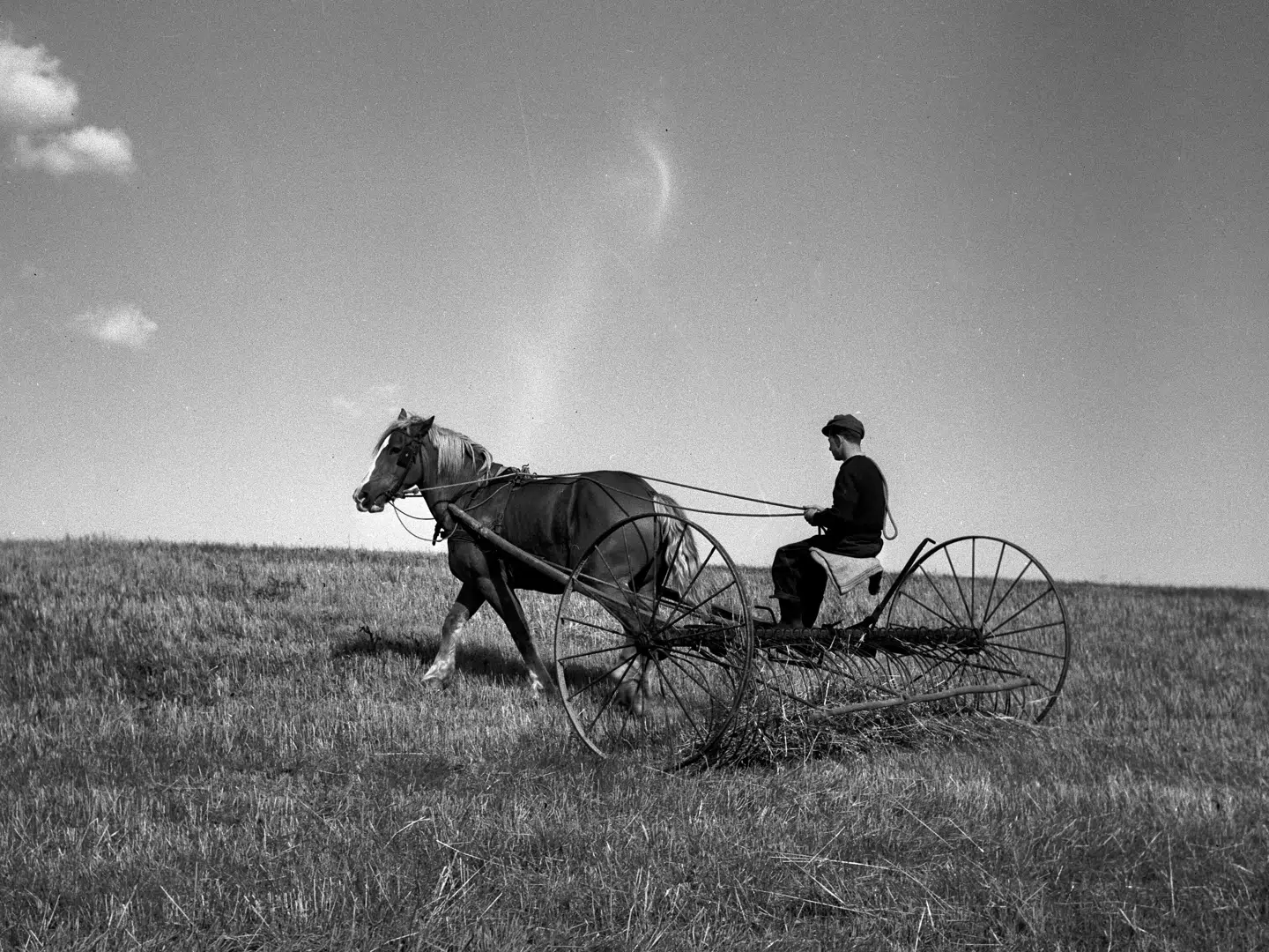 Selvom tusindvis af arbejdspladser forsvandt med mekaniseringen af i landbruget, voksede dansk økonomi og beskæftigelse støt i årtierne efter, at dette billede blev taget i 1959. Alligevel er det en forsimplet romantisering, hvis man i debatten om kunstig intelligens og robotisering kun forholder sig til den del af historien, mener Erick Bjørn Hartel Rosenvinge.