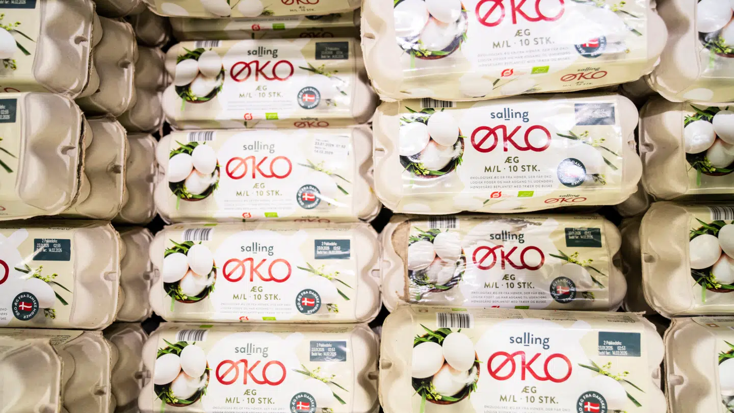 Tilbud på æg er blandt andet billige i Danmark i påskeugen, sammenlignet med en af de store grænsehandel-kæders priser. Disse æg fra Salling Group relaterer sig ikke direkte til artiklen dog.