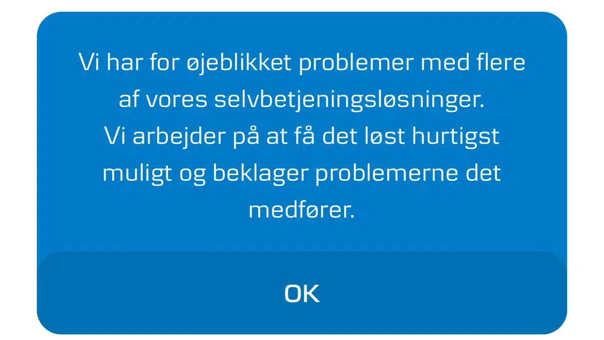 Efter stort nedbrud tirsdag: Bankkunder oplever stadig store problemer