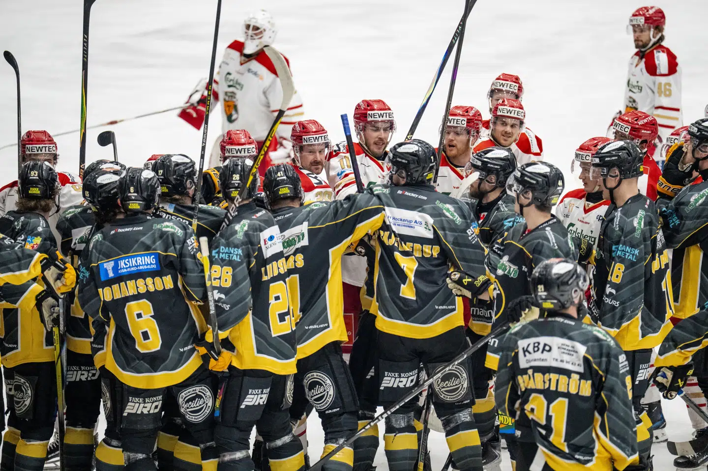 Der opstod tumult under opvarmningen før semifinalen mellem Herlev Eagles og Odense Bulldogs tirsdag aften. Det koster nu begge hold en bøde.