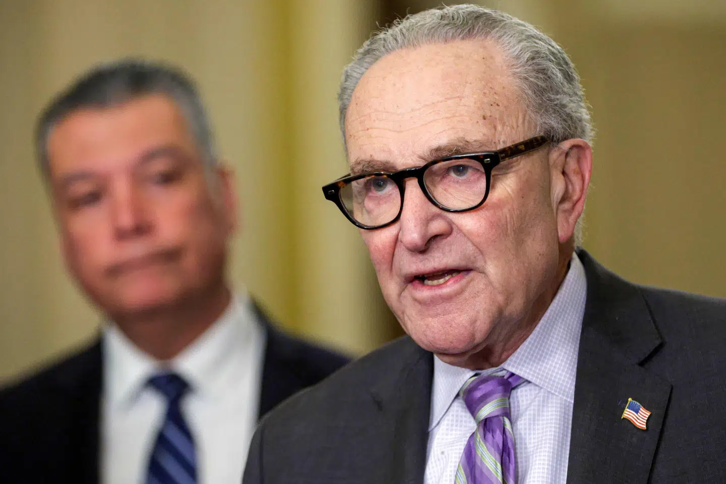 Chuck Schumer, der er demokratisk minoritetsleder i Senatet, vil have en føderal dommer til at blokere Donald Trumps dekret om brevstemmer. (Arkivfoto).