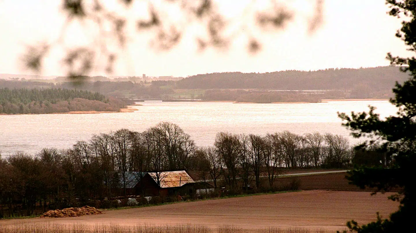 Udsigten over Tange Sø fotograferet i 1997.