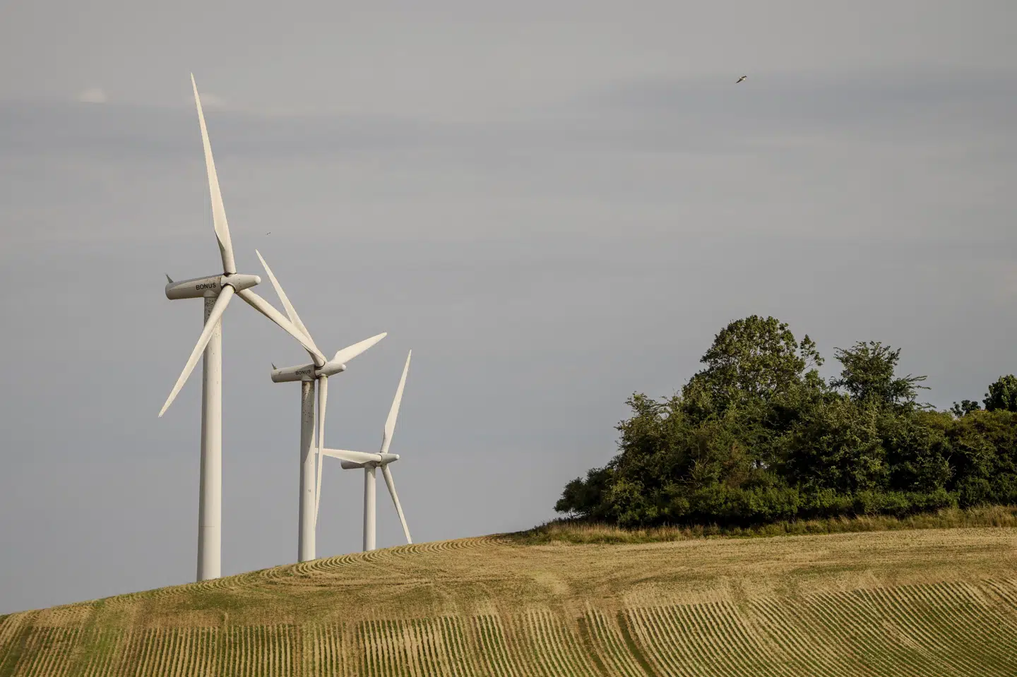 Det blæsende vejr og de mange påskefrokoster sender elpriserne ned omkring og i nogle tilfælde under nul kroner i løbet af lørdag, søndag og mandag. (Arkivfoto).