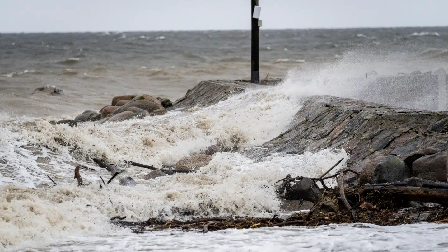 Vindstød af orkanstyrke rammer Danmark. (arkivbillede)