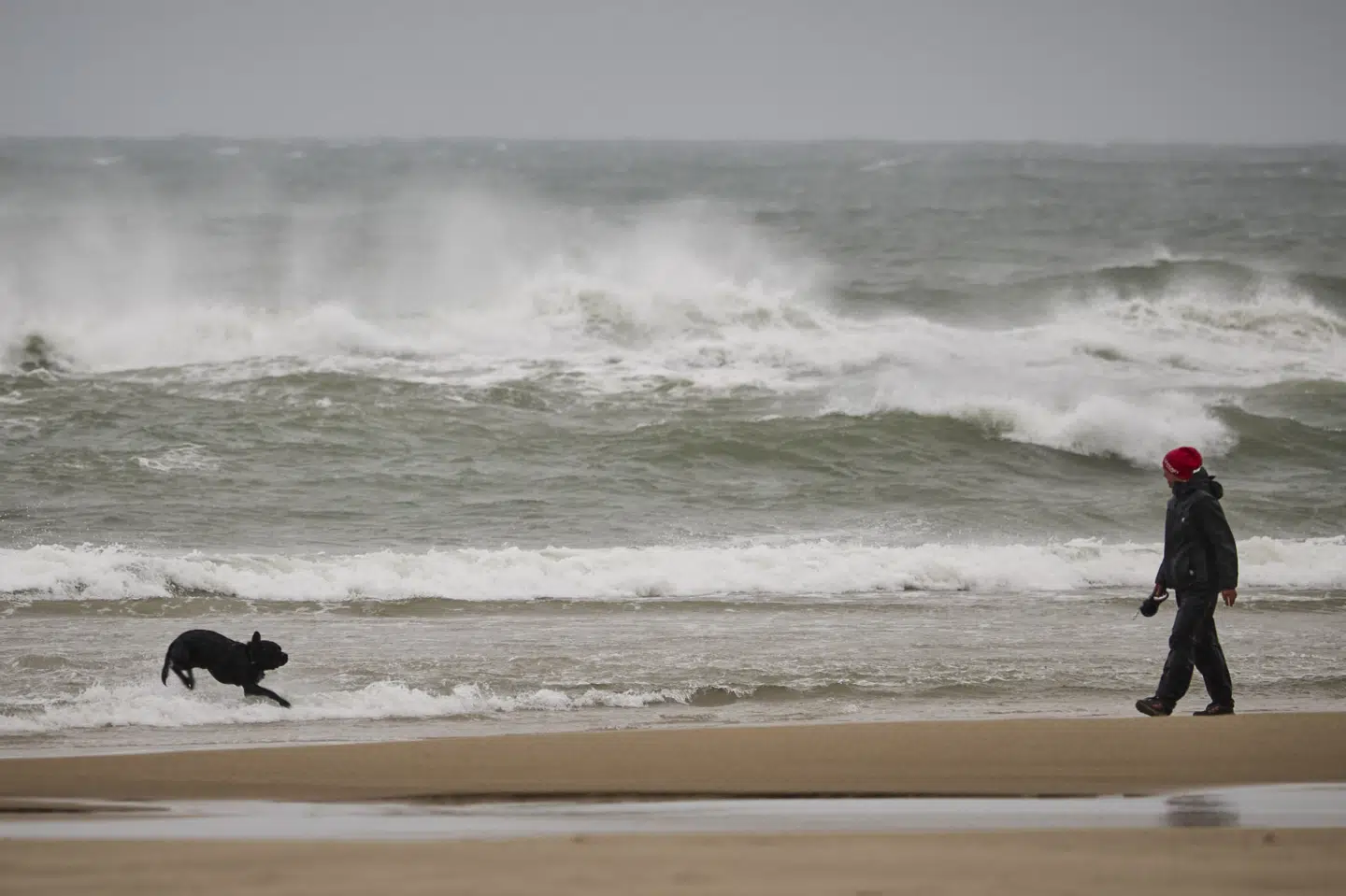 Påskesøndag kan der komme vindstød på op til 35 meter i sekundet i den nordlige og nordvestlige del af Jylland, varsler DMI. (Arkivfoto).