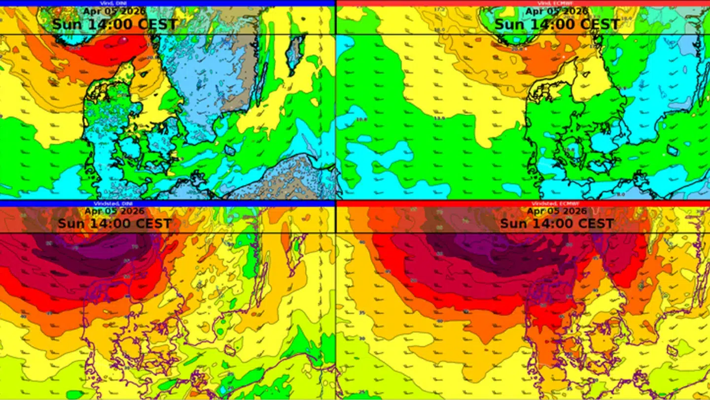 Herover ses en grafik, som viser, hvordan vejret og vinden kan udvikle sig søndag. Billederne til venstre stammer ifølge DMI fra den danske DMI-model (DINI), mens billederne til højre er fra den fælleseuropæiske model (ECMWF).