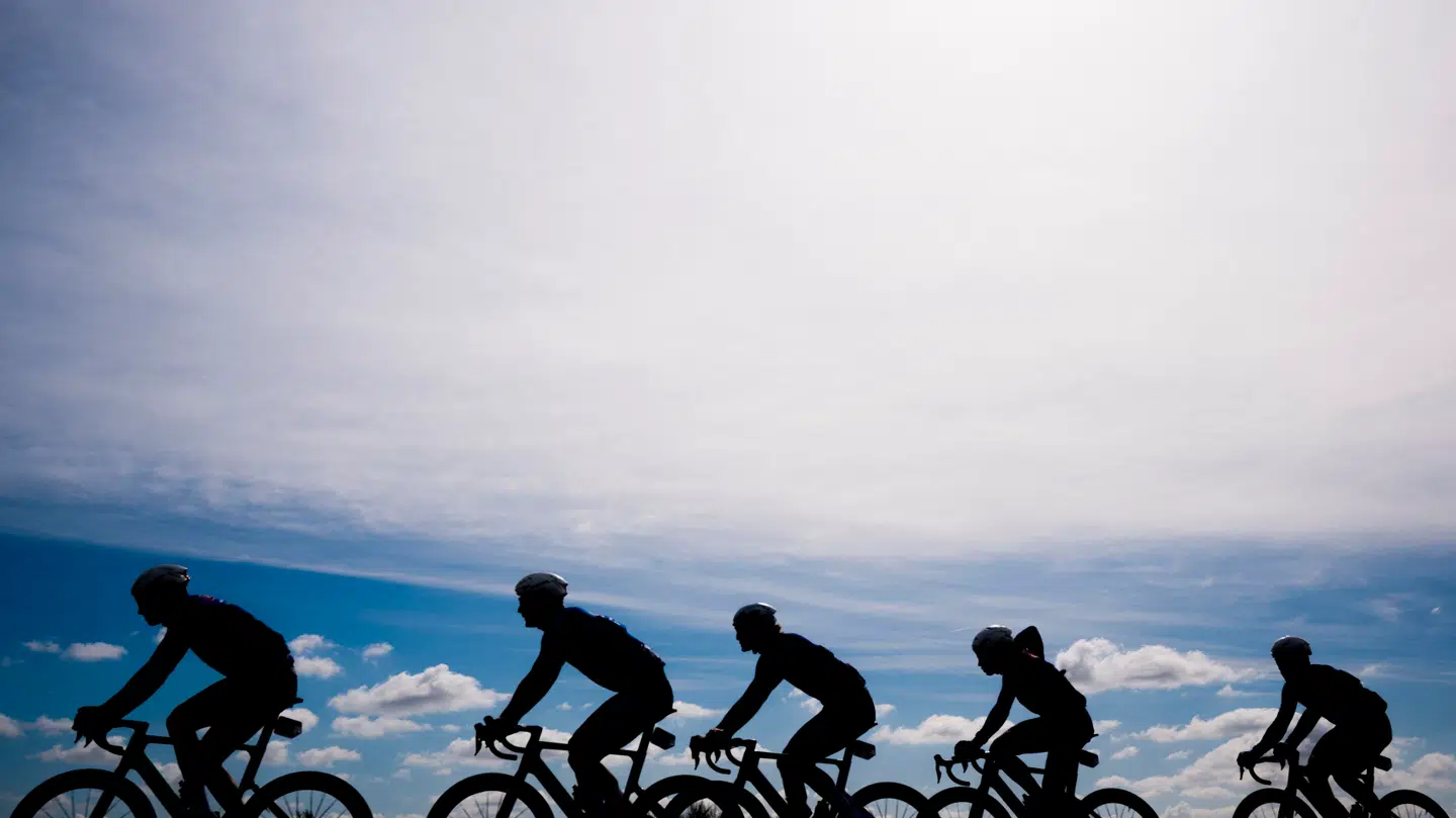 We Ride Flanders er et amatørløb, der afholdes dagen inden Flandern Rundt.