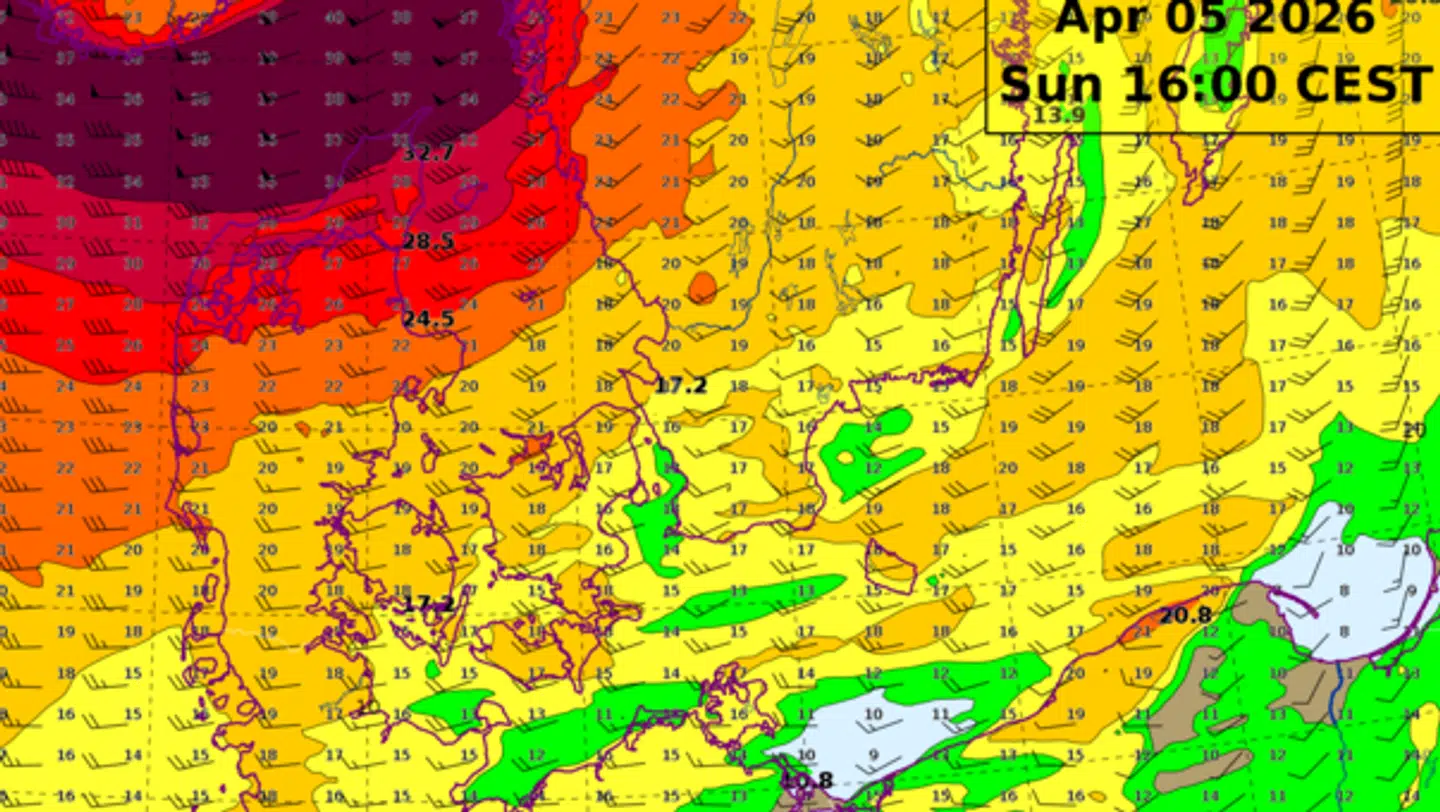 Grafikken her viser en prognose for vindstyrken klokken 16 søndag eftermiddag. Der er størst risiko for orkanvindstød ved Jammerbugten og Vendsyssel.
